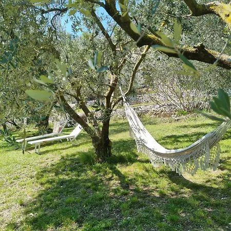 Casa Dal Vecio Carli *