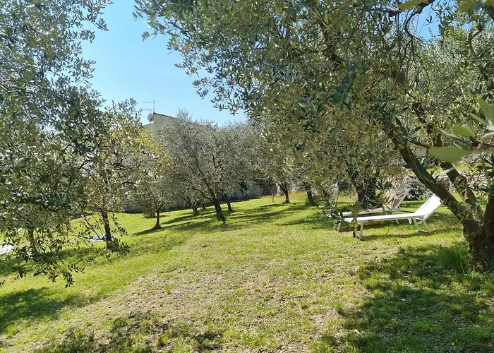 Casa Dal Vecio Carli *